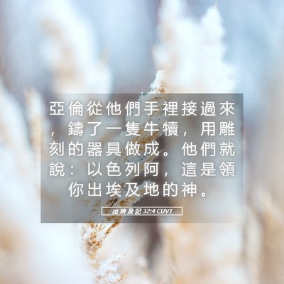 Picture 05 - 出 埃 及 記 32:4 CUVT - 亞 倫 從 他 們 手 裡 接 過 來 ， 鑄 - Bible Verse Picture