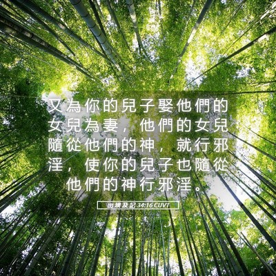 Picture 05 - 出 埃 及 記 34:16 CUVT - 又 為 你 的 兒 子 娶 他 們 的 女 兒 - Bible Verse Picture