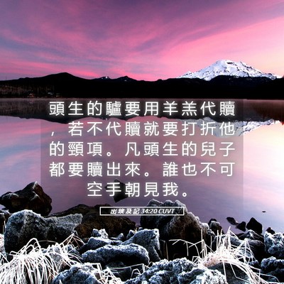Picture 05 - 出 埃 及 記 34:20 CUVT - 頭 生 的 驢 要 用 羊 羔 代 贖 ， 若 - Bible Verse Picture