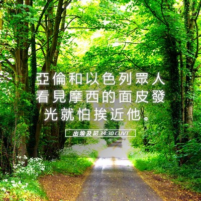 Picture 05 - 出 埃 及 記 34:30 CUVT - 亞 倫 和 以 色 列 眾 人 看 見 摩 西 - Bible Verse Picture