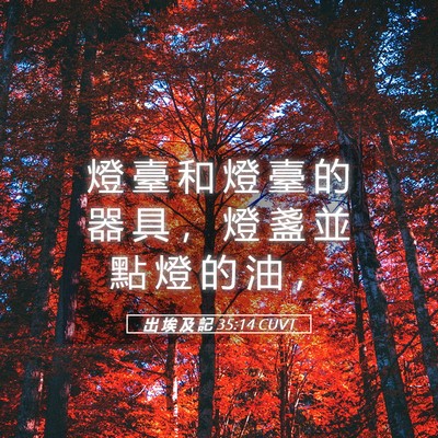 Picture 05 - 出 埃 及 記 35:14 CUVT - 燈 臺 和 燈 臺 的 器 具 ， 燈 盞 並 - Bible Verse Picture