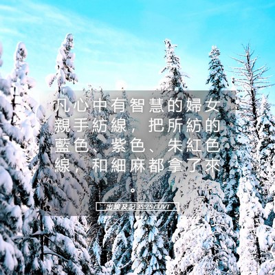 Picture 05 - 出 埃 及 記 35:25 CUVT - 凡 心 中 有 智 慧 的 婦 女 親 手 紡 - Bible Verse Picture