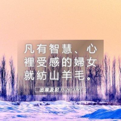Picture 05 - 出 埃 及 記 35:26 CUVT - 凡 有 智 慧 、 心 裡 受 感 的 婦 女 - Bible Verse Picture