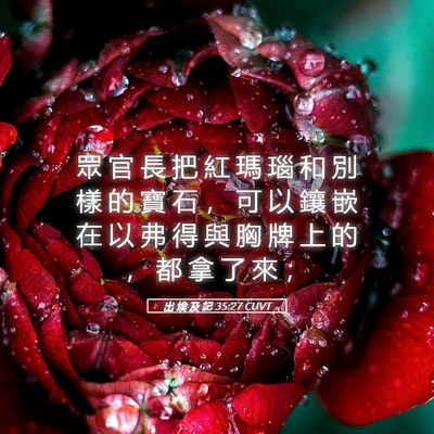 Picture 05 - 出 埃 及 記 35:27 CUVT - 眾 官 長 把 紅 瑪 瑙 和 別 樣 的 寶 - Bible Verse Picture