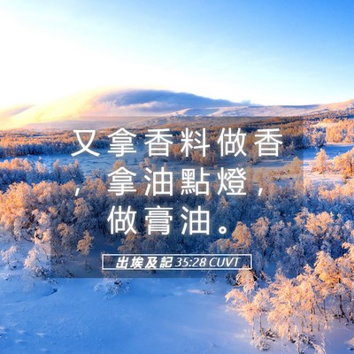 Picture 05 - 出 埃 及 記 35:28 CUVT - 又 拿 香 料 做 香 ， 拿 油 點 燈 ， - Bible Verse Picture