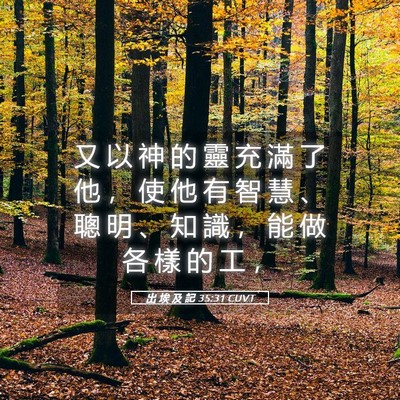Picture 05 - 出 埃 及 記 35:31 CUVT - 又 以 神 的 靈 充 滿 了 他 ， 使 他 - Bible Verse Picture