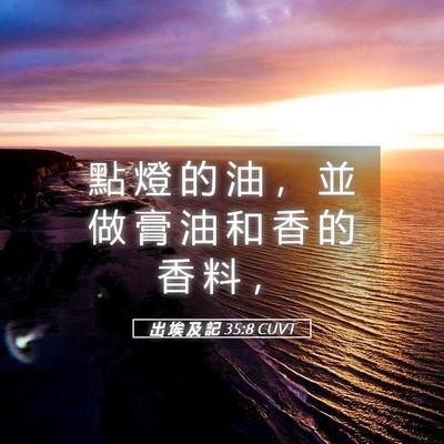 Picture 05 - 出 埃 及 記 35:8 CUVT - 點 燈 的 油 ， 並 做 膏 油 和 香 的 - Bible Verse Picture