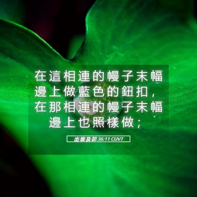 Picture 05 - 出 埃 及 記 36:11 CUVT - 在 這 相 連 的 幔 子 末 幅 邊 上 做 - Bible Verse Picture