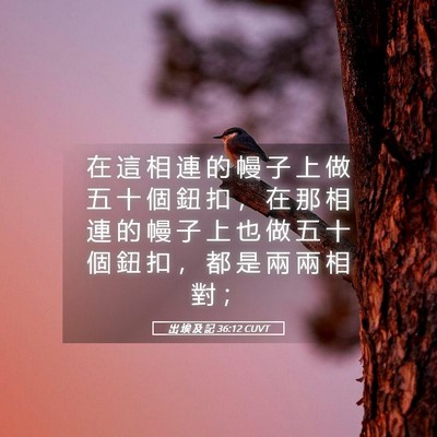 Picture 05 - 出 埃 及 記 36:12 CUVT - 在 這 相 連 的 幔 子 上 做 五 十 個 - Bible Verse Picture
