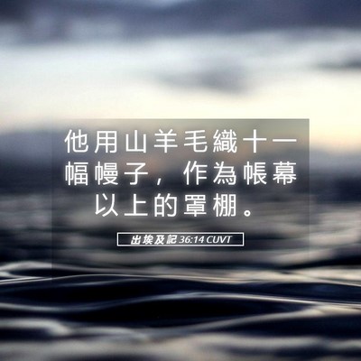 Picture 05 - 出 埃 及 記 36:14 CUVT - 他 用 山 羊 毛 織 十 一 幅 幔 子 ， - Bible Verse Picture