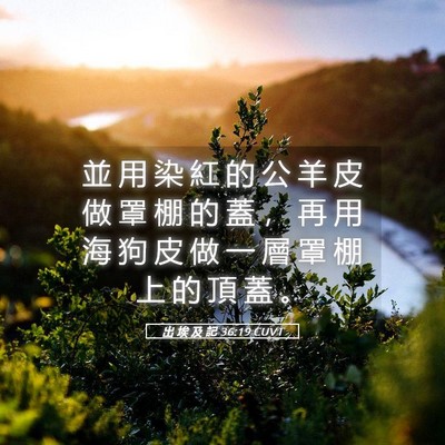 Picture 05 - 出 埃 及 記 36:19 CUVT - 並 用 染 紅 的 公 羊 皮 做 罩 棚 的 - Bible Verse Picture