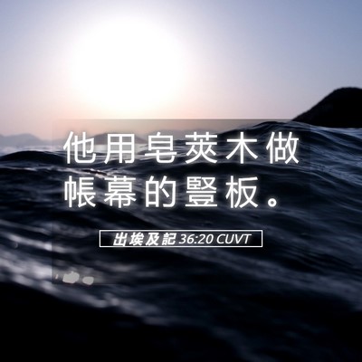 Picture 05 - 出 埃 及 記 36:20 CUVT - 他 用 皂 莢 木 做 帳 幕 的 豎 板 - Bible Verse Picture
