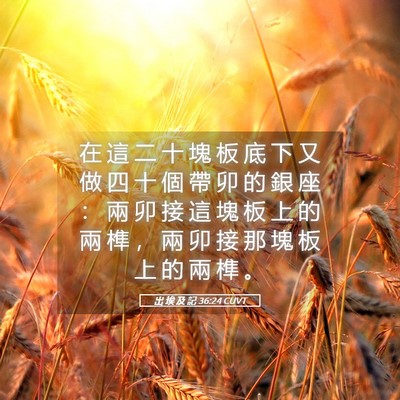 Picture 05 - 出 埃 及 記 36:24 CUVT - 在 這 二 十 塊 板 底 下 又 做 四 十 - Bible Verse Picture