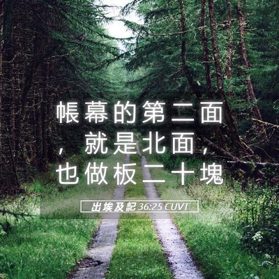 Picture 05 - 出 埃 及 記 36:25 CUVT - 帳 幕 的 第 二 面 ， 就 是 北 面 ， - Bible Verse Picture
