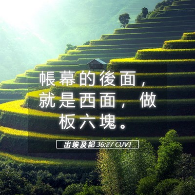 Picture 05 - 出 埃 及 記 36:27 CUVT - 帳 幕 的 後 面 ， 就 是 西 面 ， 做 - Bible Verse Picture