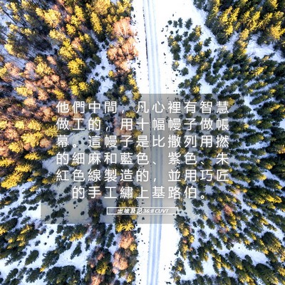 Picture 05 - 出 埃 及 記 36:8 CUVT - 他 們 中 間 ， 凡 心 裡 有 智 慧 做 - Bible Verse Picture