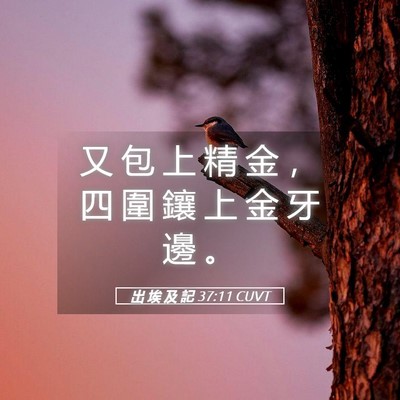 Picture 05 - 出 埃 及 記 37:11 CUVT - 又 包 上 精 金 ， 四 圍 鑲 上 金 牙 - Bible Verse Picture