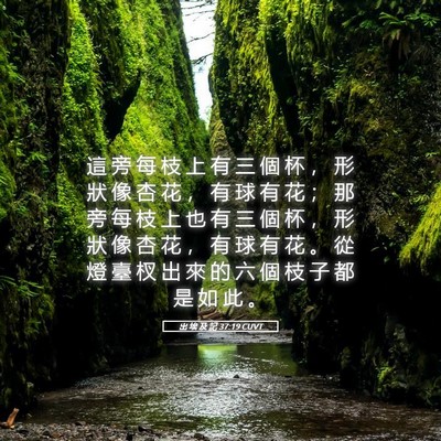 Picture 05 - 出 埃 及 記 37:19 CUVT - 這 旁 每 枝 上 有 三 個 杯 ， 形 狀 - Bible Verse Picture