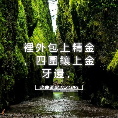 Picture 05 - 出 埃 及 記 37:2 CUVT - 裡 外 包 上 精 金 ， 四 圍 鑲 上 金 - Bible Verse Picture