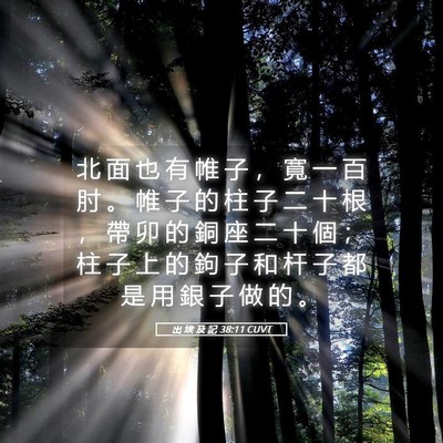 Picture 05 - 出 埃 及 記 38:11 CUVT - 北 面 也 有 帷 子 ， 寬 一 百 肘 。 - Bible Verse Picture