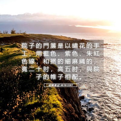 Picture 05 - 出 埃 及 記 38:18 CUVT - 院 子 的 門 簾 是 以 繡 花 的 手 工 - Bible Verse Picture