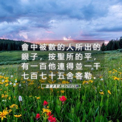 Picture 05 - 出 埃 及 記 38:25 CUVT - 會 中 被 數 的 人 所 出 的 銀 子 ， - Bible Verse Picture