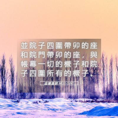 Picture 05 - 出 埃 及 記 38:31 CUVT - 並 院 子 四 圍 帶 卯 的 座 和 院 門 - Bible Verse Picture