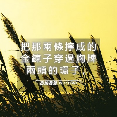 Picture 05 - 出 埃 及 記 39:17 CUVT - 把 那 兩 條 擰 成 的 金 鍊 子 穿 過 - Bible Verse Picture