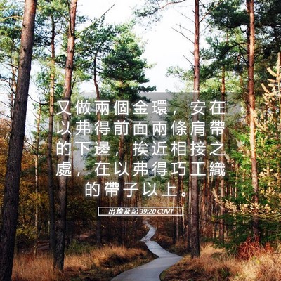 Picture 05 - 出 埃 及 記 39:20 CUVT - 又 做 兩 個 金 環 ， 安 在 以 弗 得 - Bible Verse Picture