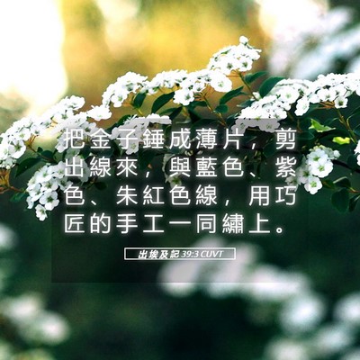Picture 05 - 出 埃 及 記 39:3 CUVT - 把 金 子 錘 成 薄 片 ， 剪 出 線 來 - Bible Verse Picture