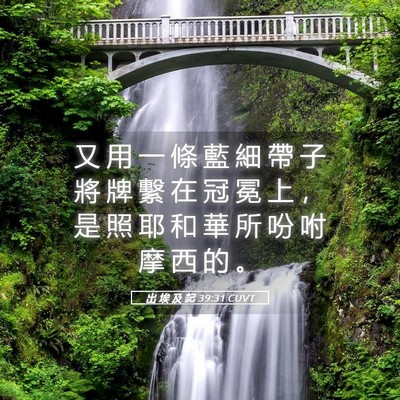 Picture 05 - 出 埃 及 記 39:31 CUVT - 又 用 一 條 藍 細 帶 子 將 牌 繫 在 - Bible Verse Picture