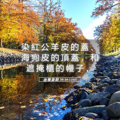 Picture 05 - 出 埃 及 記 39:34 CUVT - 染 紅 公 羊 皮 的 蓋 、 海 狗 皮 的 - Bible Verse Picture