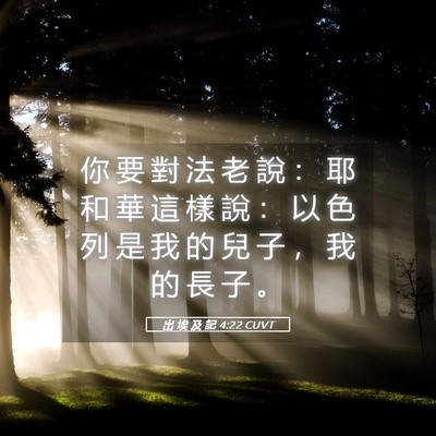 Picture 05 - 出 埃 及 記 4:22 CUVT - 你 要 對 法 老 說 ： 耶 和 華 這 樣 - Bible Verse Picture