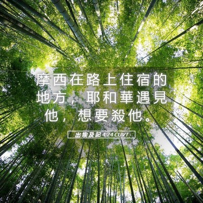 Picture 05 - 出 埃 及 記 4:24 CUVT - 摩 西 在 路 上 住 宿 的 地 方 ， 耶 - Bible Verse Picture