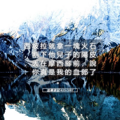 Picture 05 - 出 埃 及 記 4:25 CUVT - 西 坡 拉 就 拿 一 塊 火 石 ， 割 下 - Bible Verse Picture
