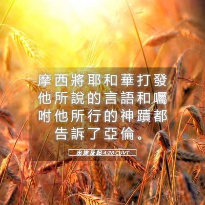 Picture 05 - 出 埃 及 記 4:28 CUVT - 摩 西 將 耶 和 華 打 發 他 所 說 的 - Bible Verse Picture