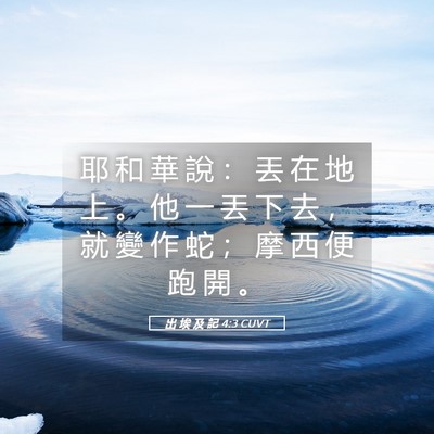 Picture 05 - 出 埃 及 記 4:3 CUVT - 耶 和 華 說 ： 丟 在 地 上 。 他 一 - Bible Verse Picture