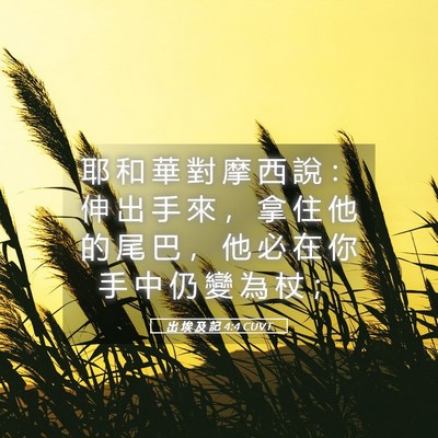 Picture 05 - 出 埃 及 記 4:4 CUVT - 耶 和 華 對 摩 西 說 ： 伸 出 手 來 - Bible Verse Picture