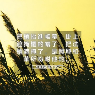 Picture 05 - 出 埃 及 記 40:21 CUVT - 把 櫃 抬 進 帳 幕 ， 掛 上 遮 掩 櫃 - Bible Verse Picture