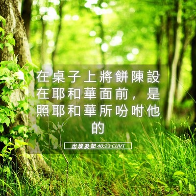 Picture 05 - 出 埃 及 記 40:23 CUVT - 在 桌 子 上 將 餅 陳 設 在 耶 和 華 - Bible Verse Picture