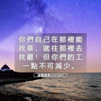 Picture 05 - 出 埃 及 記 5:11 CUVT - 你 們 自 己 在 那 裡 能 找 草 ， 就 - Bible Verse Picture