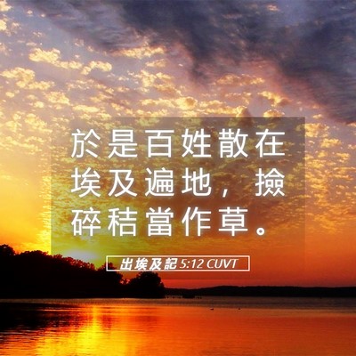 Picture 05 - 出 埃 及 記 5:12 CUVT - 於 是 百 姓 散 在 埃 及 遍 地 ， 撿 - Bible Verse Picture