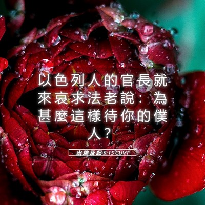 Picture 05 - 出 埃 及 記 5:15 CUVT - 以 色 列 人 的 官 長 就 來 哀 求 法 - Bible Verse Picture