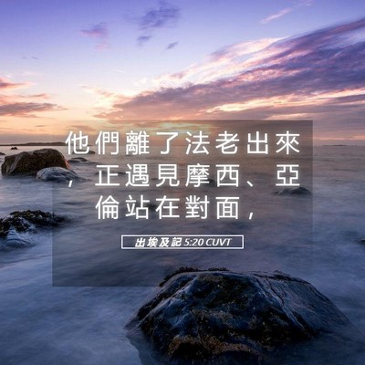Picture 05 - 出 埃 及 記 5:20 CUVT - 他 們 離 了 法 老 出 來 ， 正 遇 見 - Bible Verse Picture