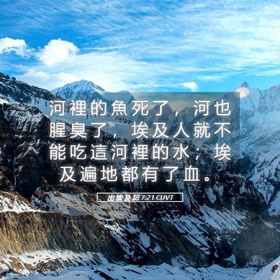 Picture 05 - 出 埃 及 記 7:21 CUVT - 河 裡 的 魚 死 了 ， 河 也 腥 臭 了 - Bible Verse Picture