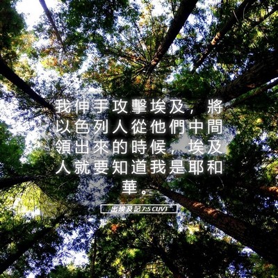Picture 05 - 出 埃 及 記 7:5 CUVT - 我 伸 手 攻 擊 埃 及 ， 將 以 色 列 - Bible Verse Picture