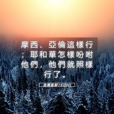 Picture 05 - 出 埃 及 記 7:6 CUVT - 摩 西 、 亞 倫 這 樣 行 ； 耶 和 華 - Bible Verse Picture