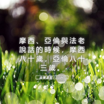 Picture 05 - 出 埃 及 記 7:7 CUVT - 摩 西 、 亞 倫 與 法 老 說 話 的 時 - Bible Verse Picture