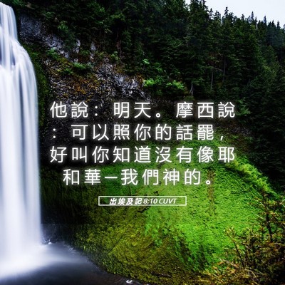 Picture 05 - 出 埃 及 記 8:10 CUVT - 他 說 ： 明 天 。 摩 西 說 ： 可 以 - Bible Verse Picture