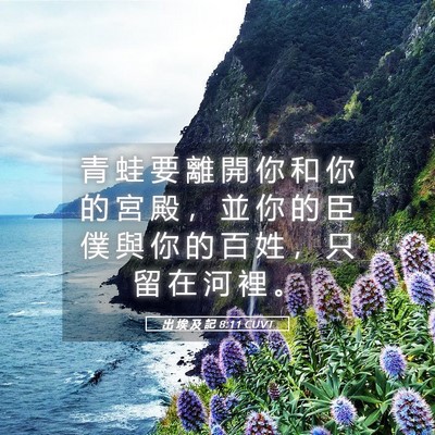 Picture 05 - 出 埃 及 記 8:11 CUVT - 青 蛙 要 離 開 你 和 你 的 宮 殿 ， - Bible Verse Picture